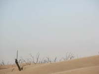 /international/2006Walvisbay/images/DrivingTheTrail/thumbnails/walvis3 083.jpg